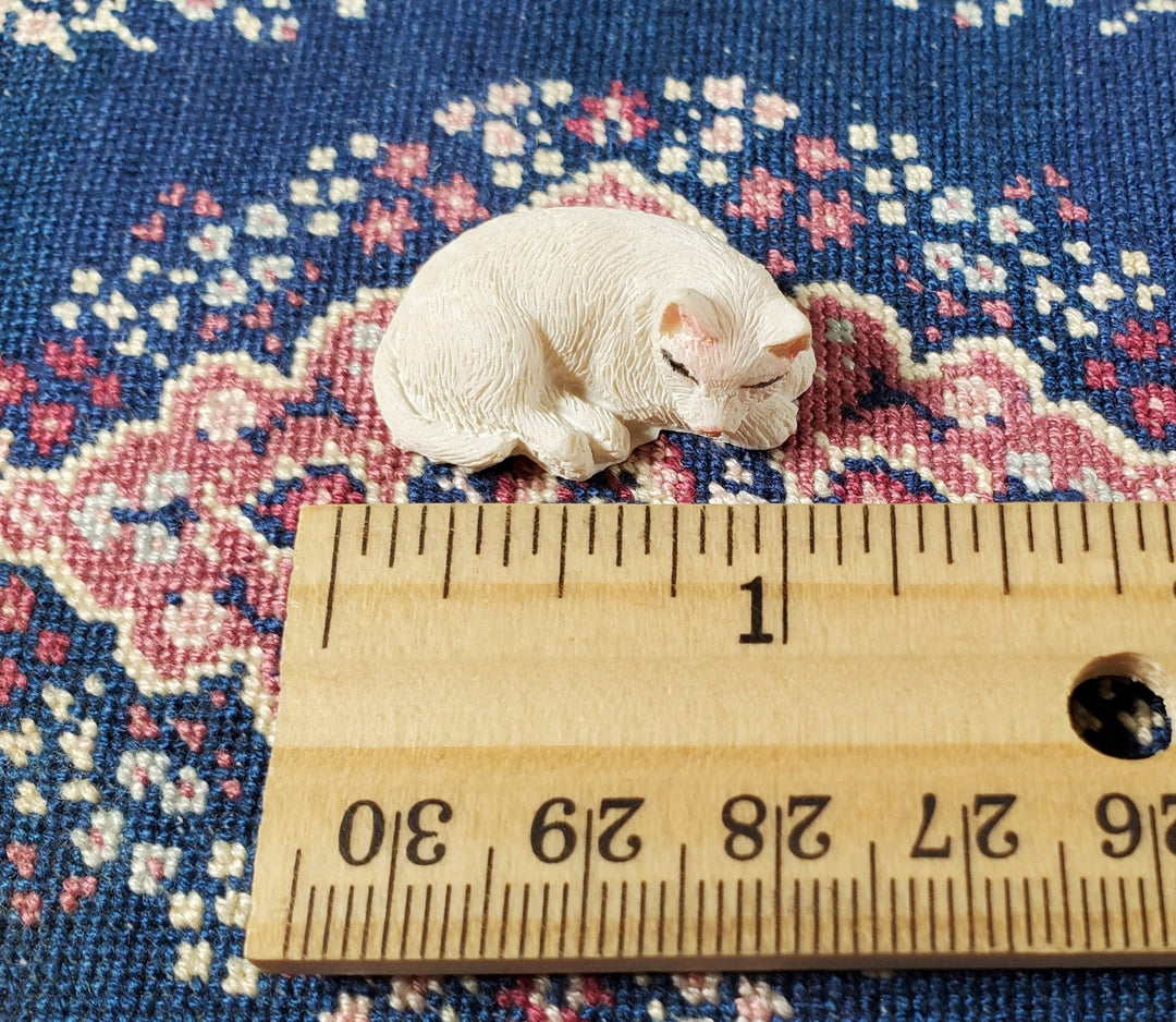 Dollhouse White Kitty Cat Sleeping Curled Up 1:12 Scale Miniature Pet - Miniature Crush