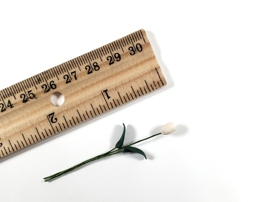 Dollhouse White Tulip Single Stem with Foliage Extra Long 1:12 Scale Miniature - MiniatureCrush