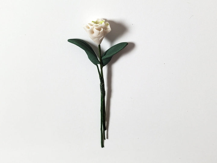 Dollhouse White Zinnia Single Stem with Foliage 1:12 Scale Miniature - MiniatureCrush