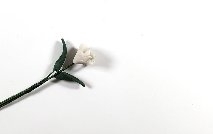 Dollhouse White Zinnia Single Stem with Foliage 1:12 Scale Miniature - MiniatureCrush