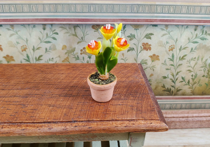 Dollhouse Yellow Daffodils in a Terra Cotta Planter 1:12 Scale Miniature Flowers - MiniatureCrush