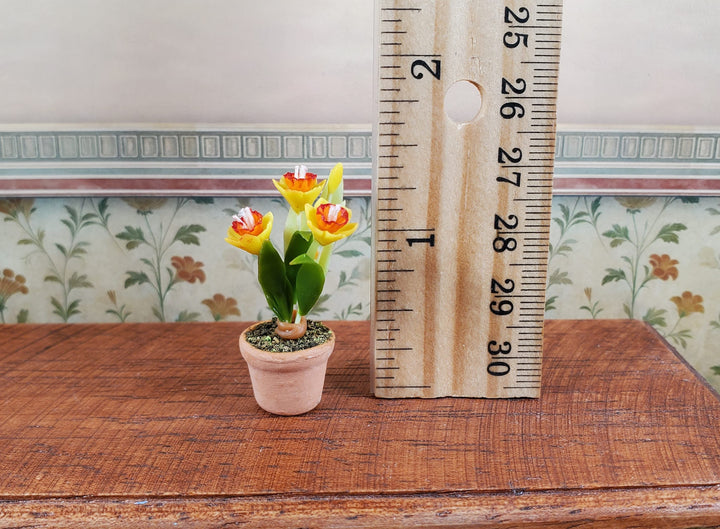 Dollhouse Yellow Daffodils in a Terra Cotta Planter 1:12 Scale Miniature Flowers - MiniatureCrush