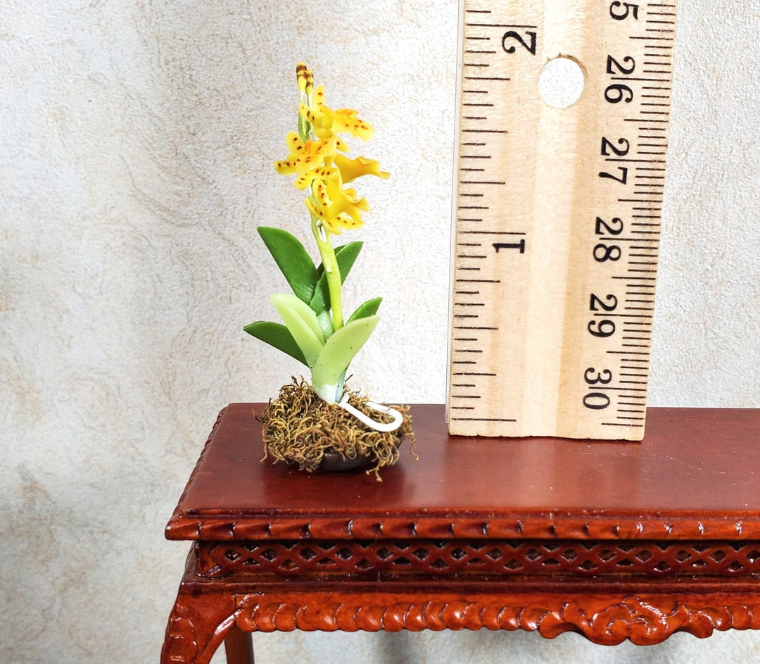 Dollhouse Yellow Orchid Arrangement in Brown Ceramic Pot 1:12 Scale Miniature - MiniatureCrush