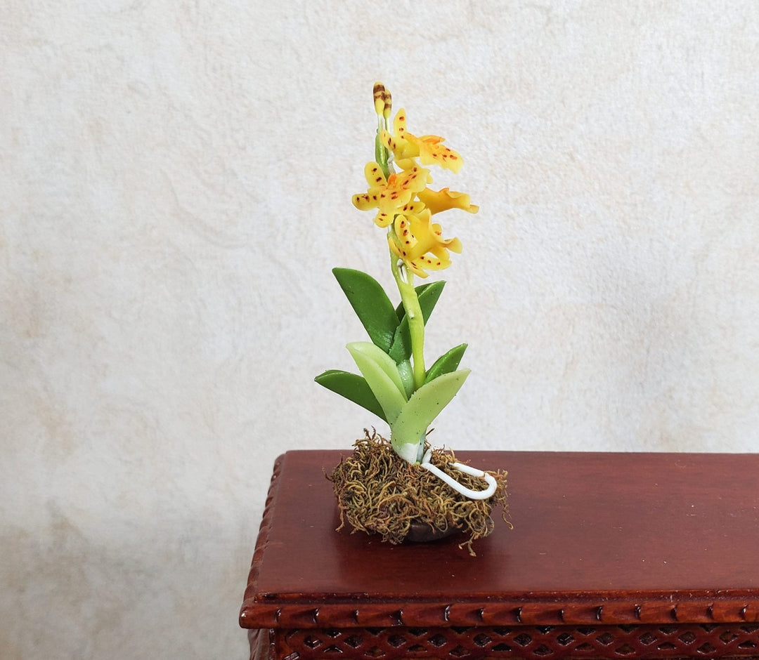 Dollhouse Yellow Orchid Arrangement in Brown Ceramic Pot 1:12 Scale Miniature - MiniatureCrush