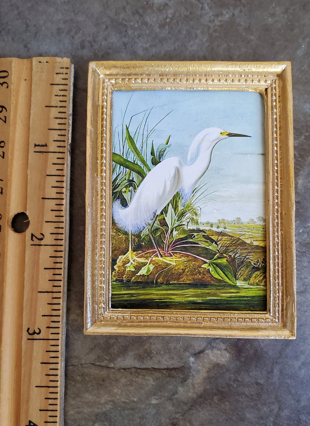 Dollhouse Miniature Egret White Print John James Audubon 1:12 Scale Gold Frame