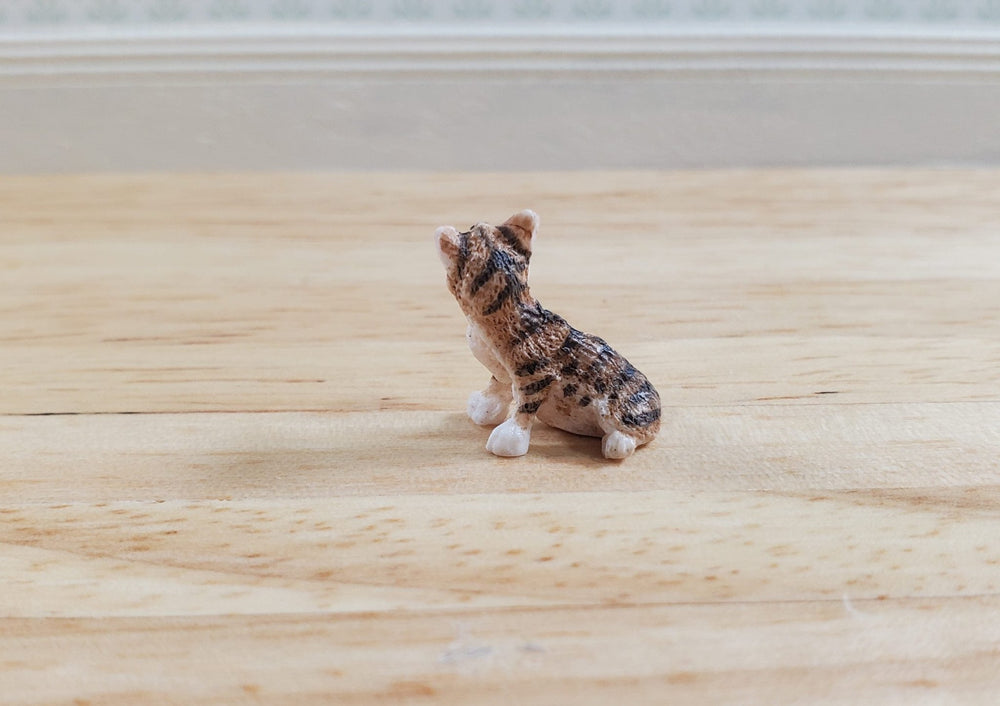 HALF SCALE Tiny Brown Tabby Sitting 1:24 Scale by Falcon Miniatures - MiniatureCrush