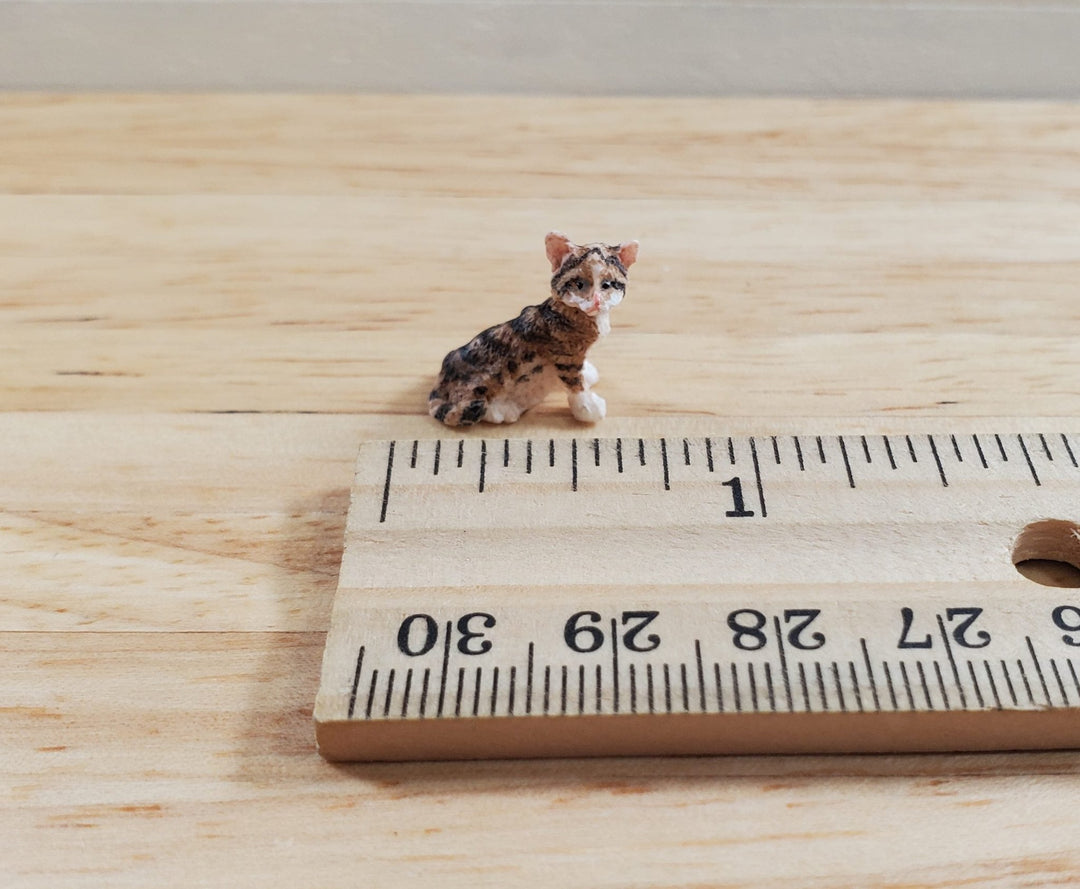 HALF SCALE Tiny Brown Tabby Sitting 1:24 Scale by Falcon Miniatures - MiniatureCrush