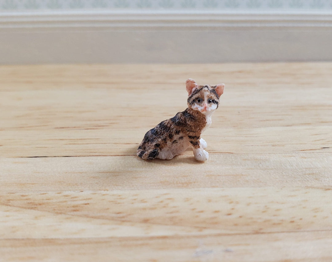 HALF SCALE Tiny Brown Tabby Sitting 1:24 Scale by Falcon Miniatures - MiniatureCrush