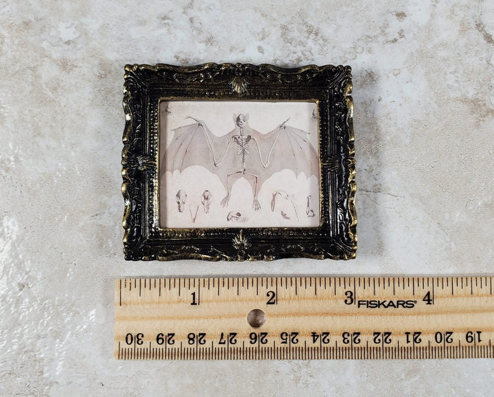 Miniature Bat Skeleton Drawing Framed Print 1:12 Scale Dollhouse Halloween - Miniature Crush