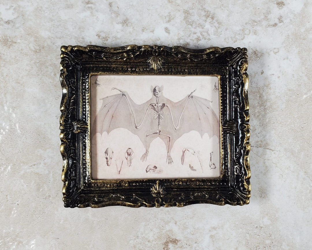 Miniature Bat Skeleton Drawing Framed Print 1:12 Scale Dollhouse Halloween - Miniature Crush