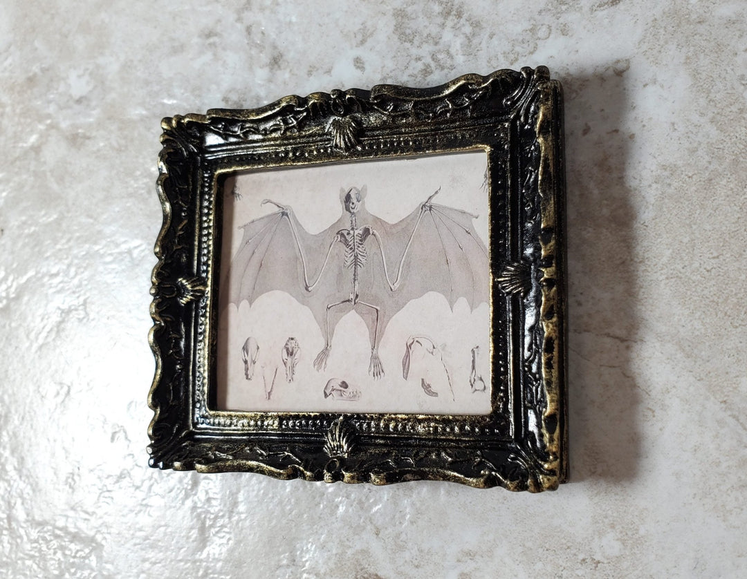 Miniature Bat Skeleton Drawing Framed Print 1:12 Scale Dollhouse Halloween - Miniature Crush