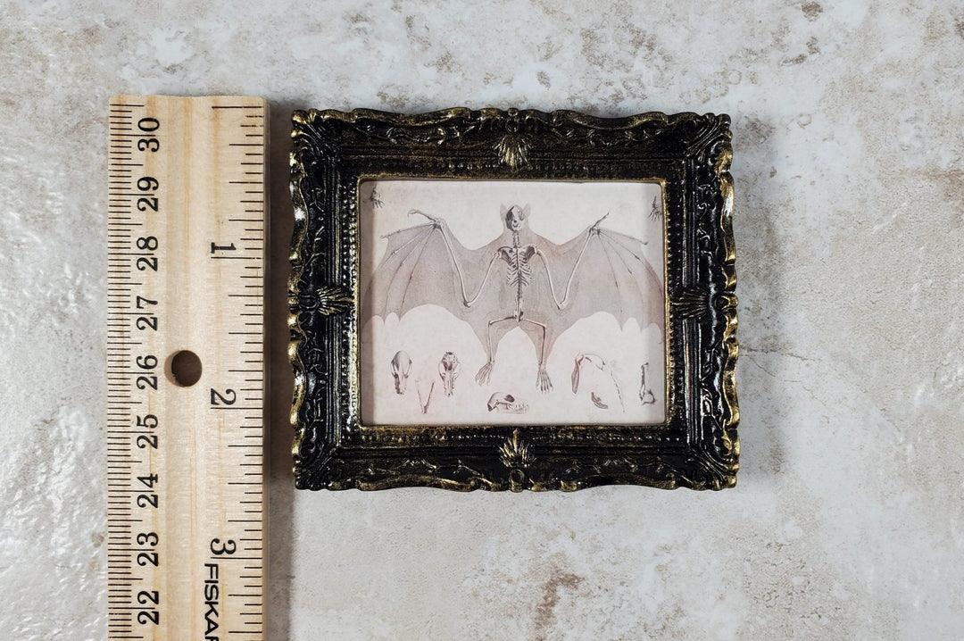 Miniature Bat Skeleton Drawing Framed Print 1:12 Scale Dollhouse Halloween - Miniature Crush