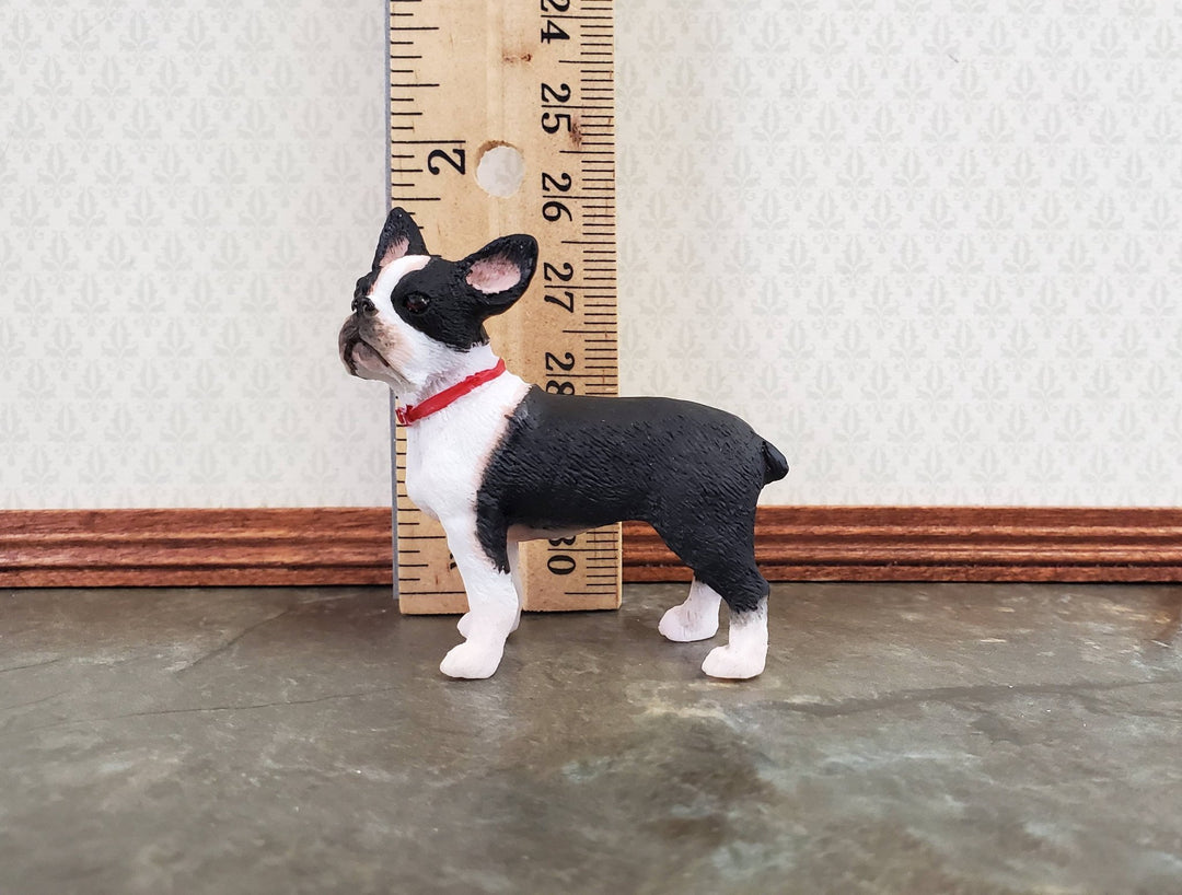 Miniature Dog Boston Terrier Black & White 1:12 Scale Pet - MiniatureCrush