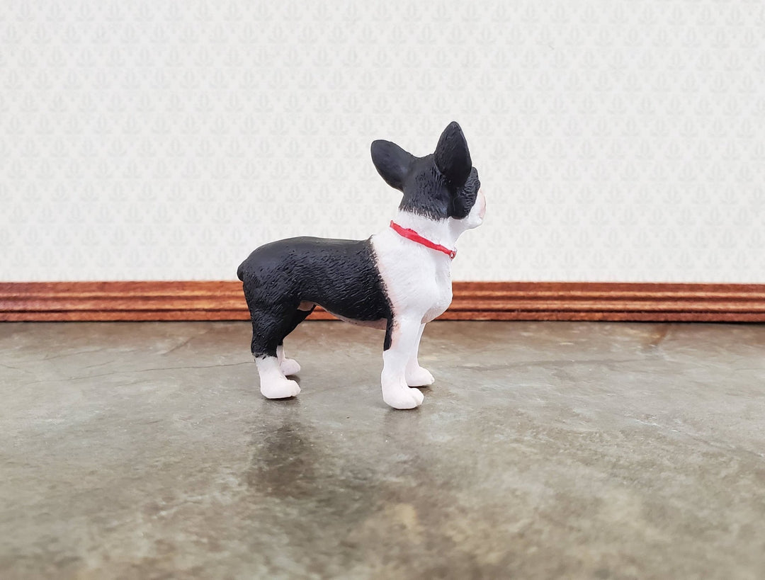 Miniature Dog Boston Terrier Black & White 1:12 Scale Pet - MiniatureCrush