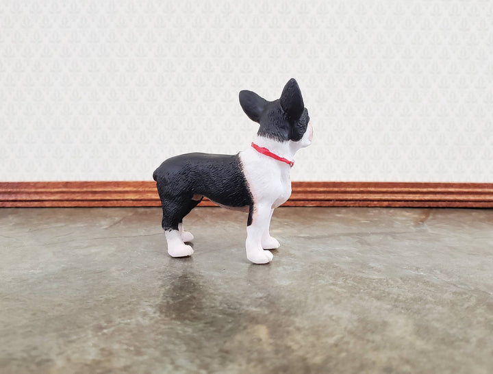 Miniature Dog Boston Terrier Black & White 1:12 Scale Pet - MiniatureCrush