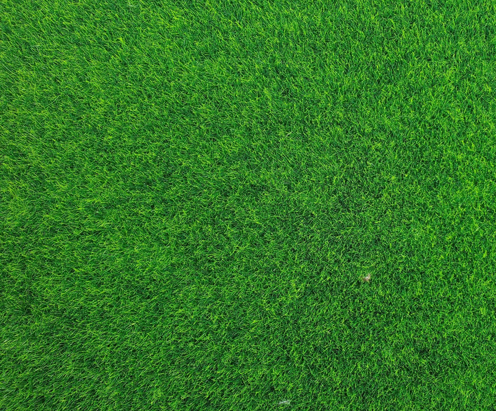 Miniature Lawn Grass Square Dollhouse Yard Gardens Model Scenery 11 3/4" x 12" - MiniatureCrush