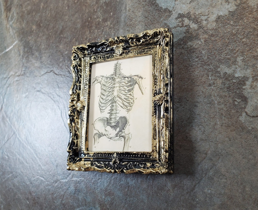 Miniature Skeleton Torso Framed Print 1:12 Scale Halloween Haunted House - Miniature Crush