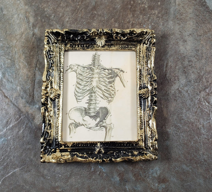 Miniature Skeleton Torso Framed Print 1:12 Scale Halloween Haunted House - Miniature Crush