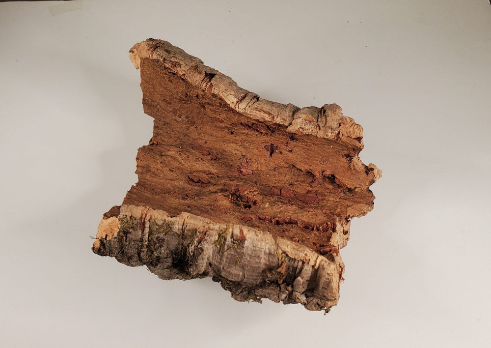 Natural Cork Bark Random 4 - 5 oz Pack JAVIS Model RR Dioramas Scenery Terrariums - MiniatureCrush
