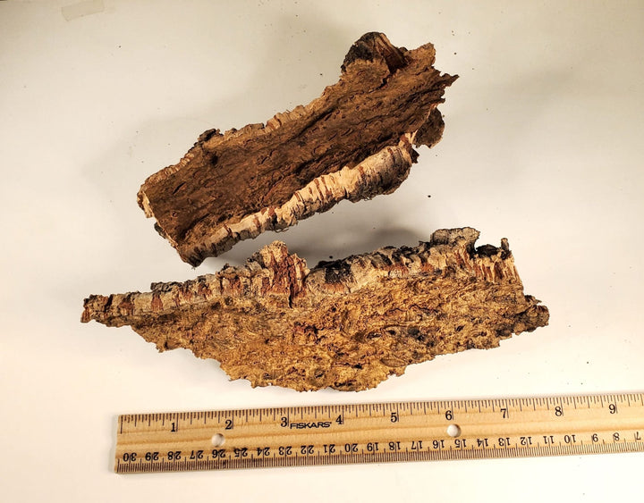Natural Cork Bark Random 4 - 5 oz Pack JAVIS Model RR Dioramas Scenery Terrariums - MiniatureCrush