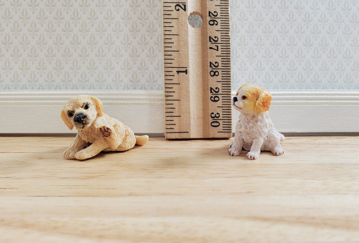 Puppy Dogs Set of 2 Puppies by Falcon Miniatures 1:12 Scale - MiniatureCrush