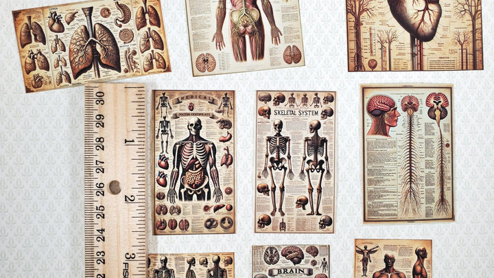 Tiny Medical Posters Creepy Style Props Printed Dollhouse Miniatures Dioramas - Miniature Crush