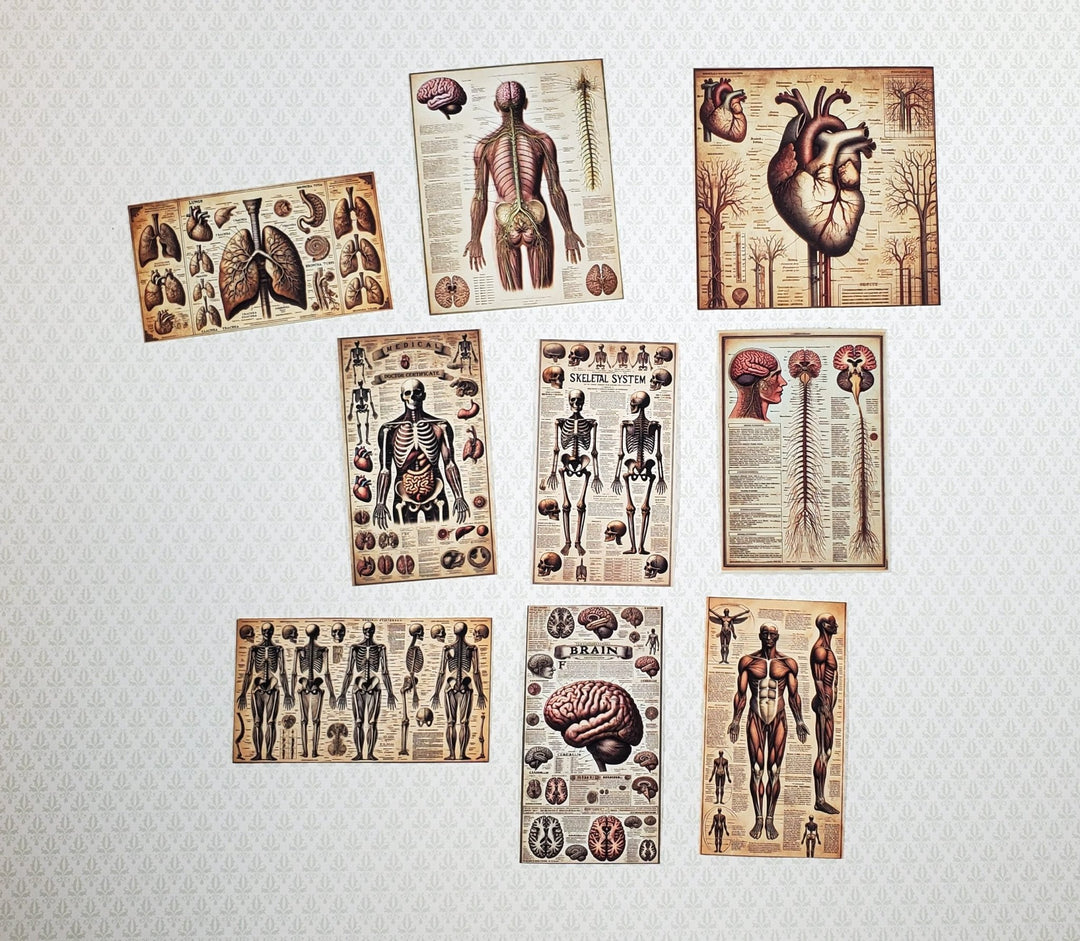 Tiny Medical Posters Creepy Style Props Printed Dollhouse Miniatures Dioramas - Miniature Crush