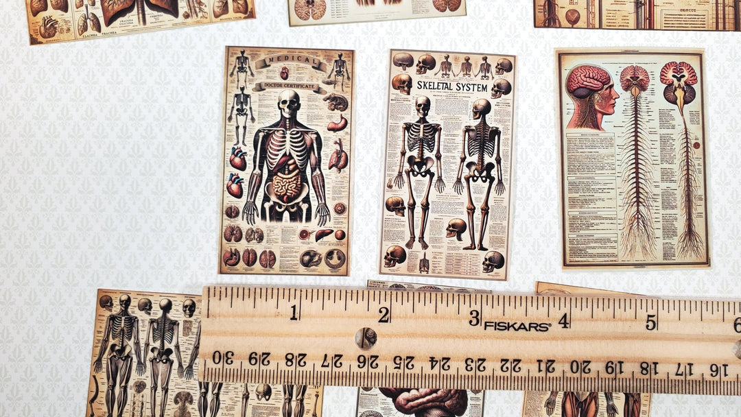 Tiny Medical Posters Creepy Style Props Printed Dollhouse Miniatures Dioramas - Miniature Crush