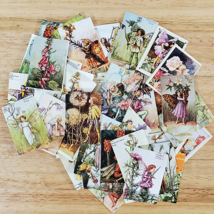 100 Mini Flower Fairy Fairies Prints on Cardstock Vintage Pictures Scrapbooking - Miniature Crush