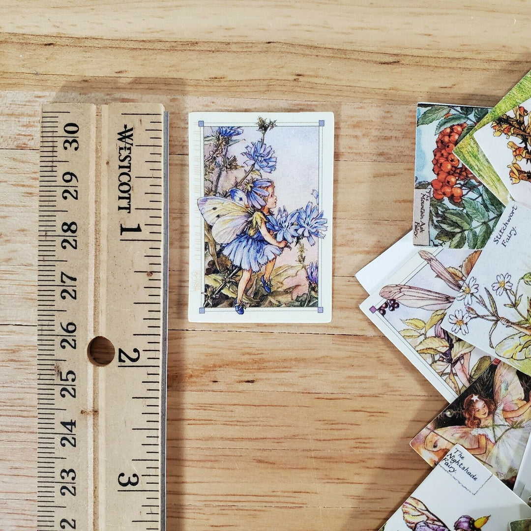 100 Mini Flower Fairy Fairies Prints on Cardstock Vintage Pictures Scrapbooking - Miniature Crush