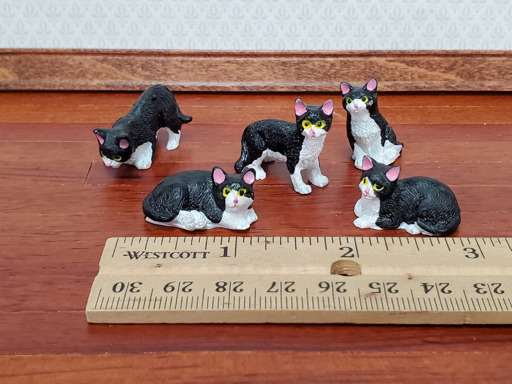 5 Dollhouse Cats Black & White Tuxedo Kittens 1:12 Scale Various Poses Animals Pets - Miniature Crush