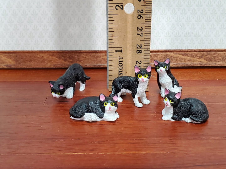 5 Dollhouse Cats Black & White Tuxedo Kittens 1:12 Scale Various Poses Animals Pets - Miniature Crush