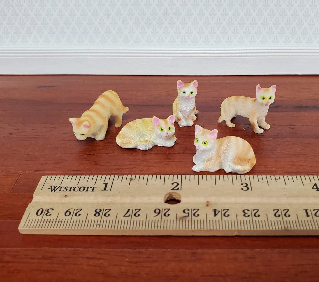 https://miniaturecrush.com/cdn/shop/products/5-dollhouse-cats-ginger-orange-tabby-tabbies-kittens-112-scale-animals-cats-663697.jpg?v=1686412677&width=1080