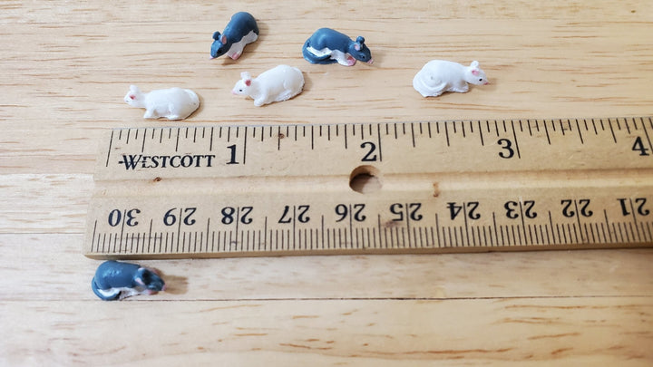 6 Tiny Mice Rats for Dollhouses White & Gray & White 1:12 Scale Miniatures - Miniature Crush