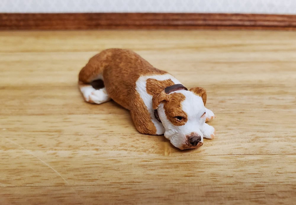 *Damaged Dollhouse Dog Boxer Laying Down Resting 1:12 Scale Pet Animal 4647RS - Miniature Crush