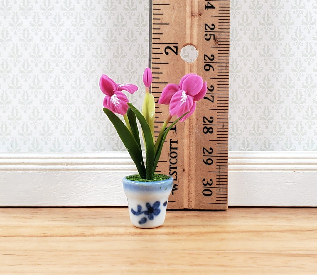 Dollhouse Bearded Iris Plant Dark Pink Ceramic Pot 1:12 Scale Miniature Flowers - Miniature Crush