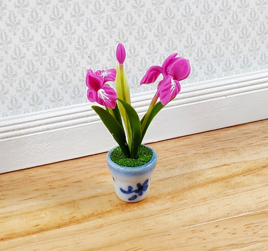 Dollhouse Bearded Iris Plant Dark Pink Ceramic Pot 1:12 Scale Miniature Flowers - Miniature Crush