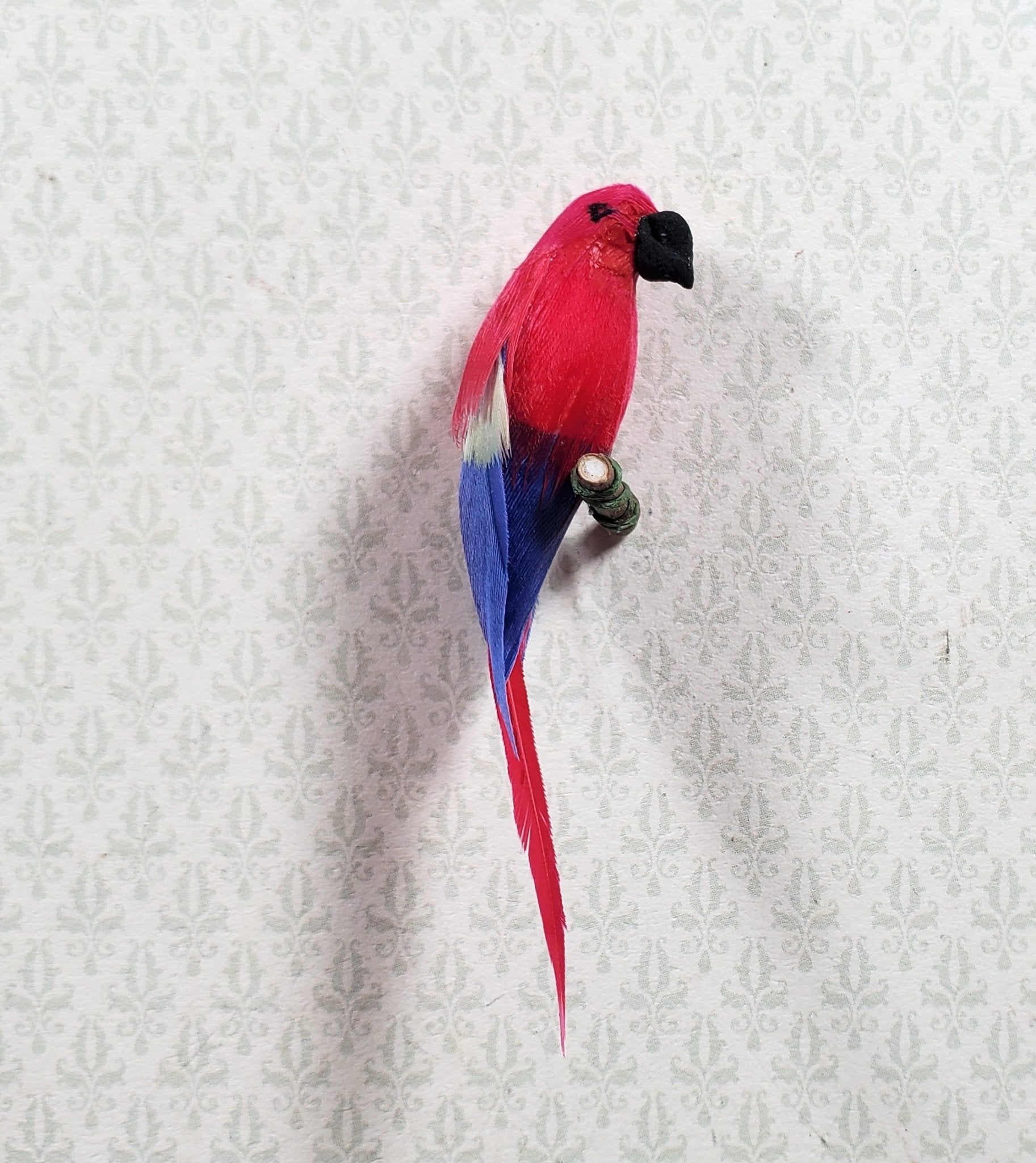 Scarletts parrot cheap supplies