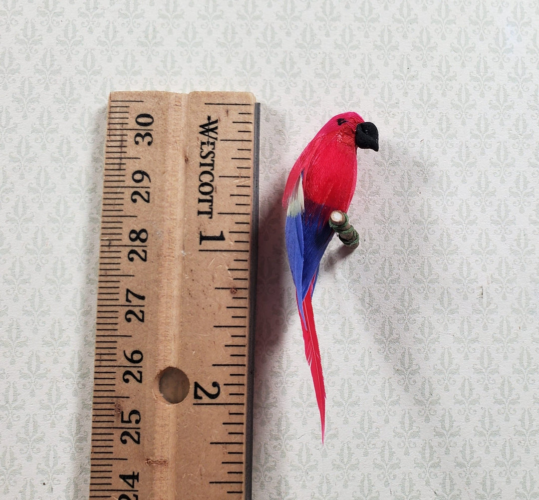 Dollhouse Bird Parrot Scarlet Macaw Large 1:12 Scale Miniature Pet - Miniature Crush