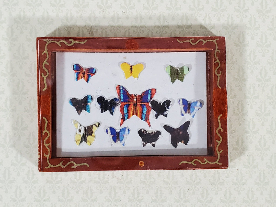 Dollhouse Butterfly Shadow Box 1:12 Scale Miniature Decor Accessories - Miniature Crush
