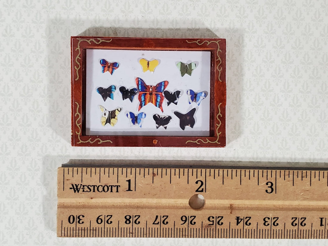Dollhouse Butterfly Shadow Box 1:12 Scale Miniature Decor Accessories - Miniature Crush