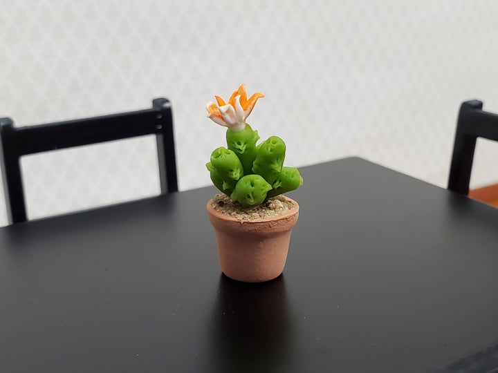 Dollhouse Cactus Flowering Plant in a Terra Cotta Planter 1:12 Scale Miniature Decor - Miniature Crush
