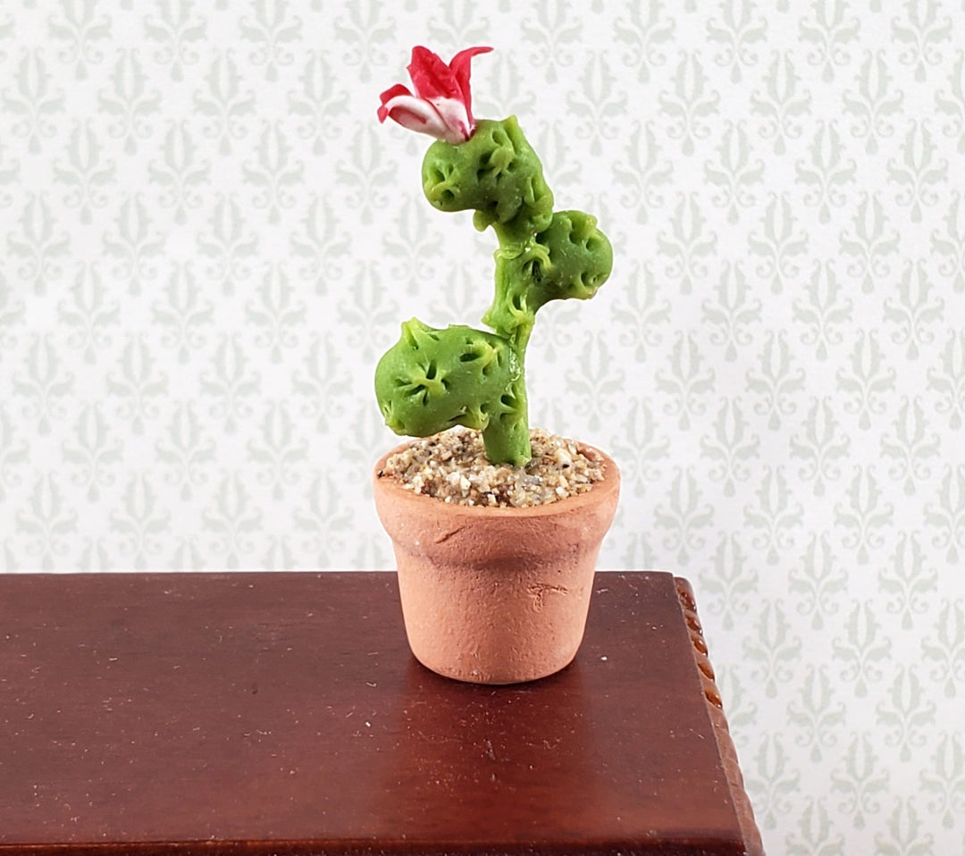 Dollhouse Cactus Tall Flowering Plant in a Terra Cotta Planter 1:12 Scale Miniature - Miniature Crush