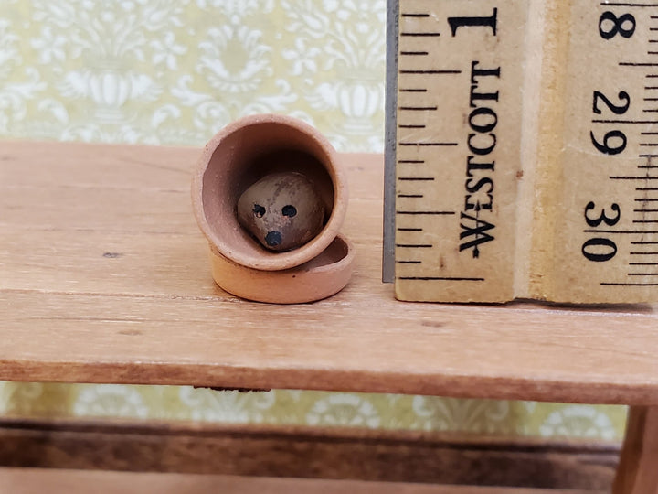Dollhouse Clay Pot with Hedgehog Inside Garden Planter Terra Cotta 1:12 Scale Miniature - Miniature Crush