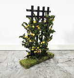 Dollhouse Climbing Roses on Trellis Yellow Flowering Shrub Small Miniatures - Miniature Crush