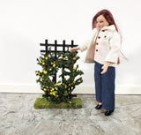 Dollhouse Climbing Roses on Trellis Yellow Flowering Shrub Small Miniatures - Miniature Crush