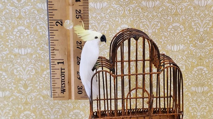 Dollhouse Cockatoo Bird White and Yellow Large 1:12 Scale Miniature Pet - Miniature Crush