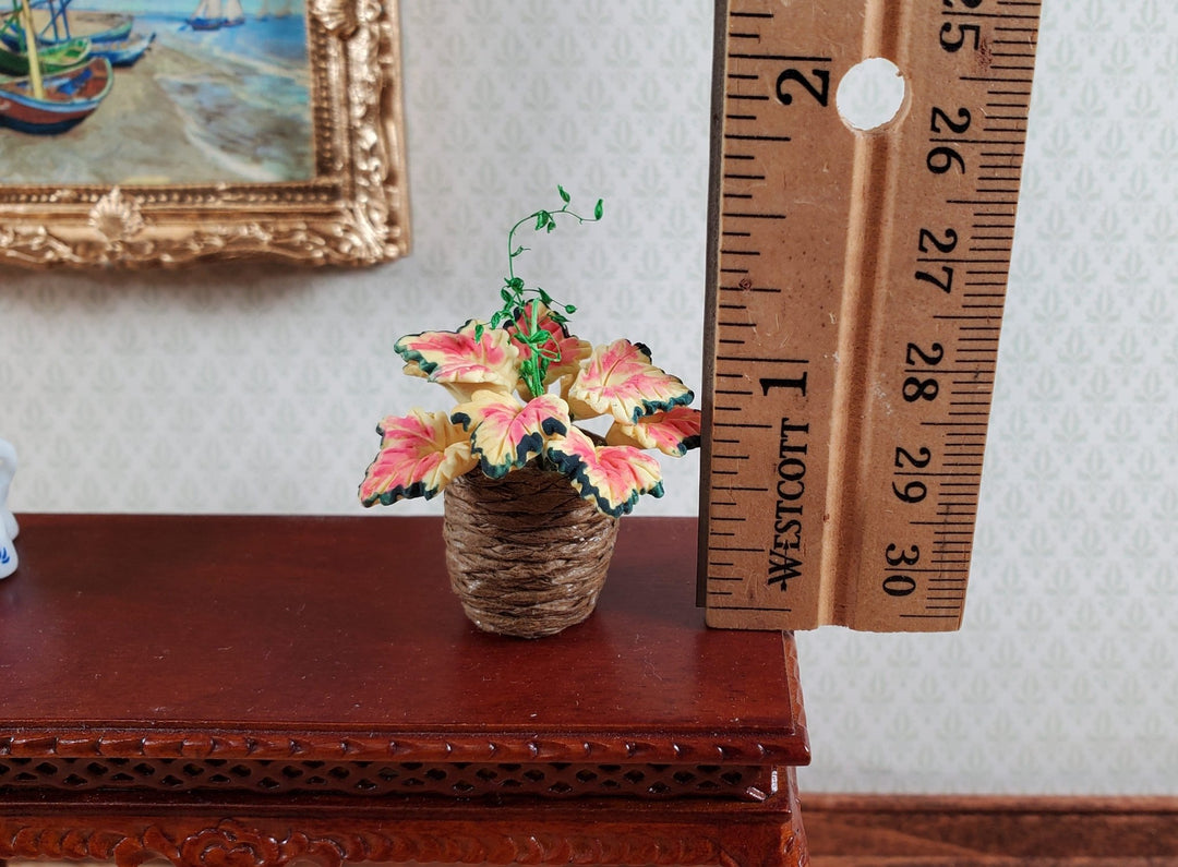 Dollhouse Coleus Plant in a Basket 1:12 Scale Miniature Garden Potted Plant - Miniature Crush