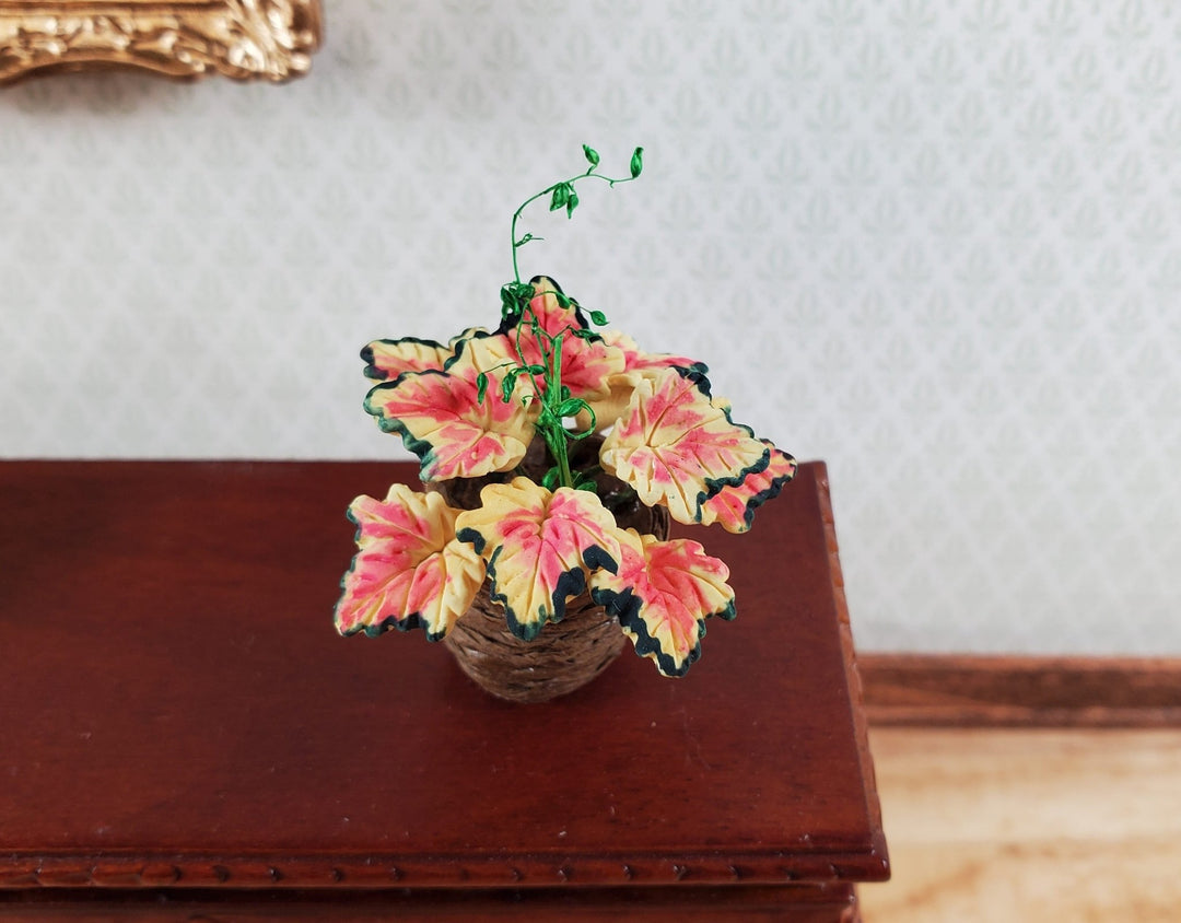 Dollhouse Coleus Plant in a Basket 1:12 Scale Miniature Garden Potted Plant - Miniature Crush
