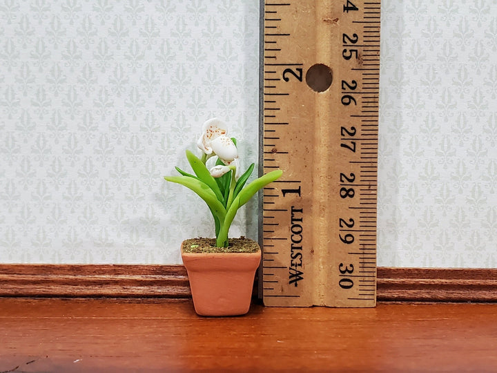 Dollhouse Cup Orchid White Plant in Terra Cotta Planter 1:12 Scale Miniature Decor - Miniature Crush